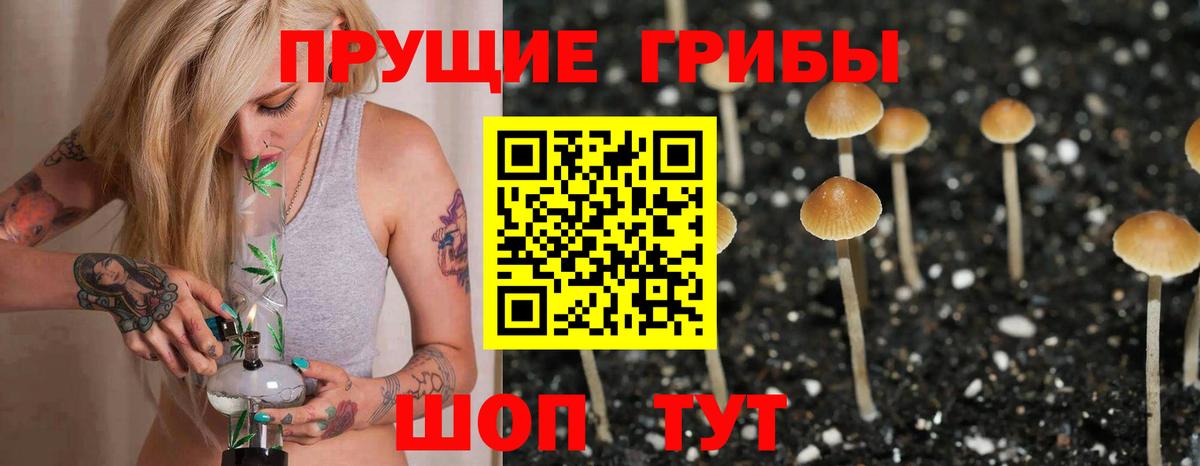 Галлюциногенные грибы GOLDEN TEACHER Когалым