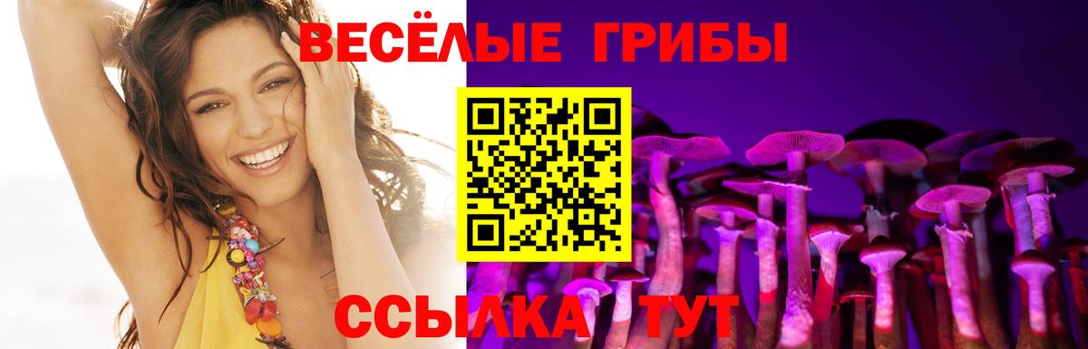 Галлюциногенные грибы Cubensis  Вход с VPN  Когалым 